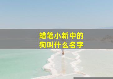 蜡笔小新中的狗叫什么名字