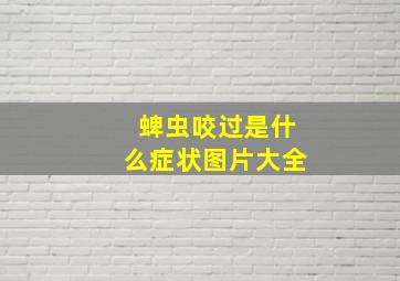 蜱虫咬过是什么症状图片大全