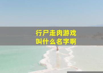 行尸走肉游戏叫什么名字啊