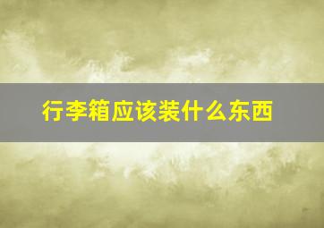 行李箱应该装什么东西