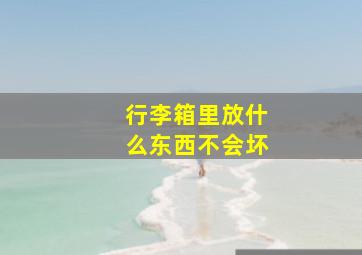 行李箱里放什么东西不会坏