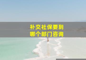 补交社保要到哪个部门咨询