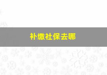 补缴社保去哪