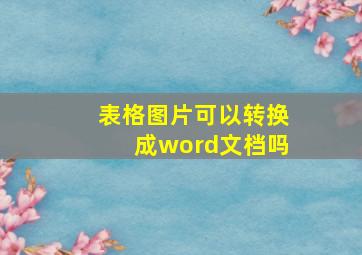 表格图片可以转换成word文档吗