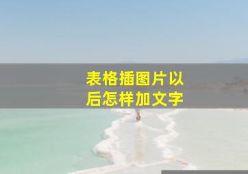 表格插图片以后怎样加文字