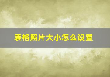 表格照片大小怎么设置