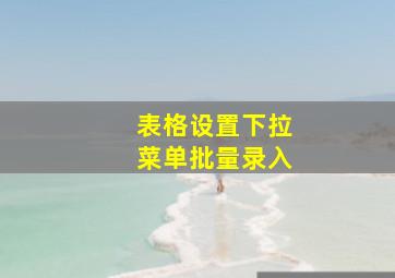 表格设置下拉菜单批量录入