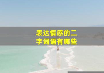 表达情感的二字词语有哪些