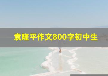 袁隆平作文800字初中生