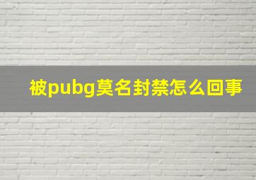 被pubg莫名封禁怎么回事