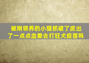 被刚领养的小猫抓破了皮出了一点点血要去打狂犬疫苗吗