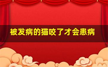 被发病的猫咬了才会患病