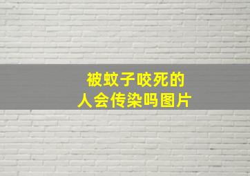 被蚊子咬死的人会传染吗图片