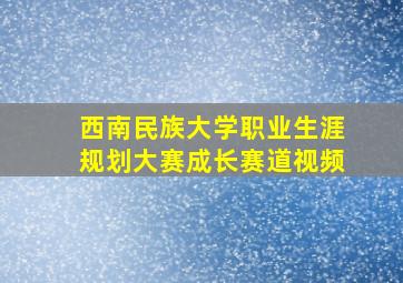 西南民族大学职业生涯规划大赛成长赛道视频