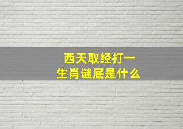 西天取经打一生肖谜底是什么