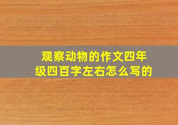 观察动物的作文四年级四百字左右怎么写的