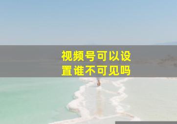 视频号可以设置谁不可见吗