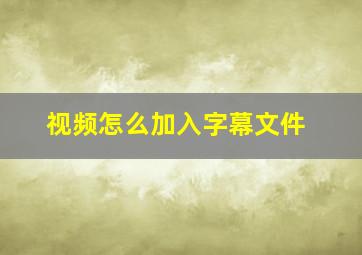 视频怎么加入字幕文件