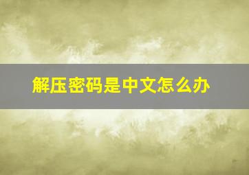 解压密码是中文怎么办