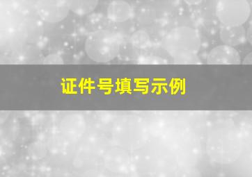 证件号填写示例