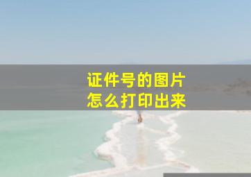 证件号的图片怎么打印出来