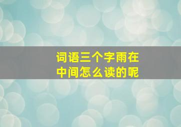 词语三个字雨在中间怎么读的呢