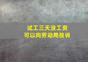 试工三天没工资可以向劳动局投诉