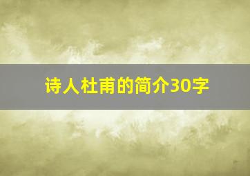 诗人杜甫的简介30字