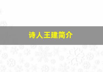 诗人王建简介