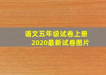 语文五年级试卷上册2020最新试卷图片