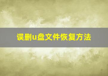 误删u盘文件恢复方法