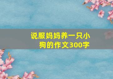 说服妈妈养一只小狗的作文300字