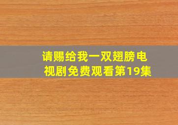 请赐给我一双翅膀电视剧免费观看第19集