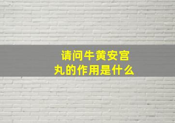 请问牛黄安宫丸的作用是什么