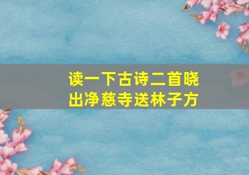 读一下古诗二首晓出净慈寺送林子方