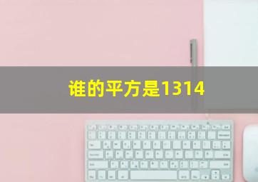 谁的平方是1314