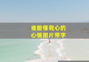 谁能懂我心的心情图片带字