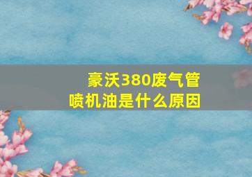 豪沃380废气管喷机油是什么原因