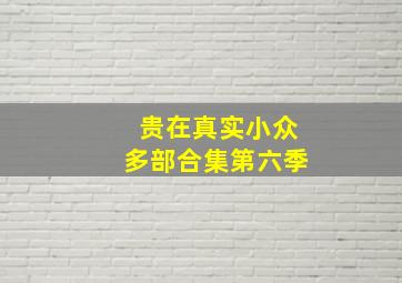 贵在真实小众多部合集第六季