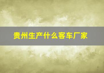 贵州生产什么客车厂家