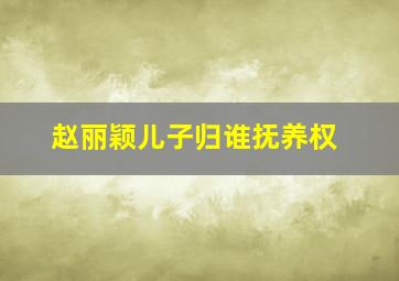 赵丽颖儿子归谁抚养权