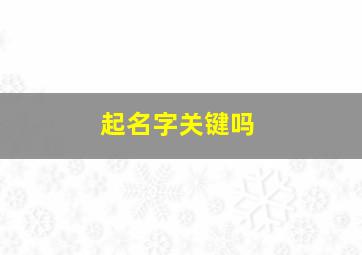 起名字关键吗