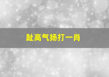 趾高气扬打一肖