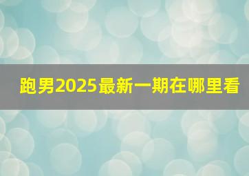 跑男2025最新一期在哪里看