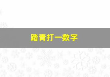 踏青打一数字