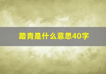 踏青是什么意思40字