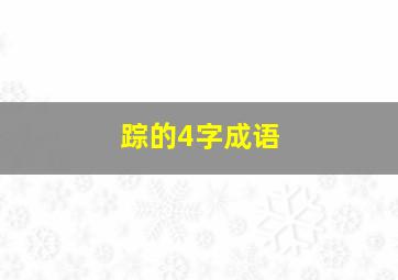 踪的4字成语