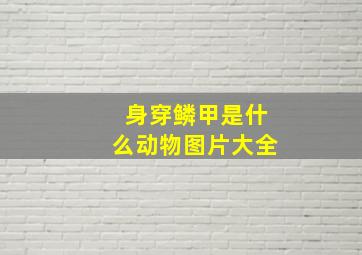 身穿鳞甲是什么动物图片大全