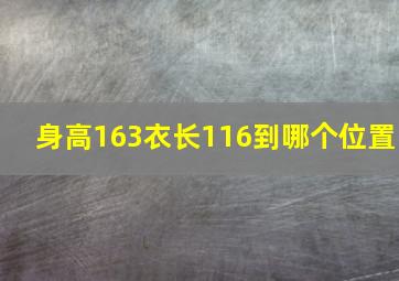 身高163衣长116到哪个位置