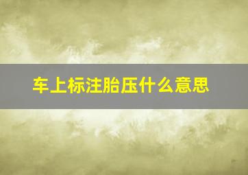 车上标注胎压什么意思